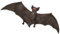 Plastoy - 2606-29 - Figurine - Animal - Chauve Souris, Marron
