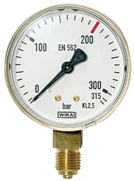 RIEGLER 101290-424 Manometer neutral, G 1/4 radial unten, Messber. 0-315 bar, Ø 63, 1Stk