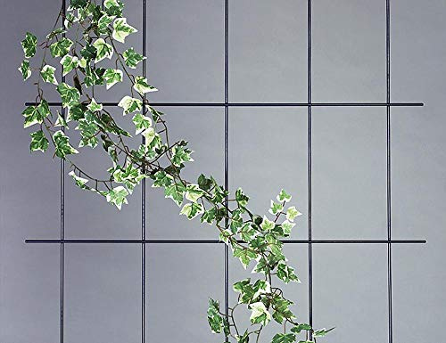 Wandspalier 5-strebig weiß Maße: 150 x 75 cm