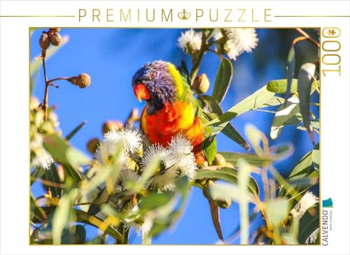 CALVENDO Puzzle Allfarblori Australien | 1000 Teile Lege-Größe 64 x 48 cm Foto-Puzzle für glückliche Stunden