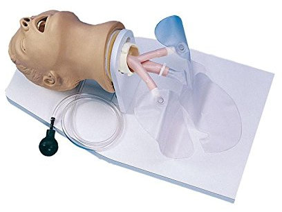 Intubationstrainer Erwachsener