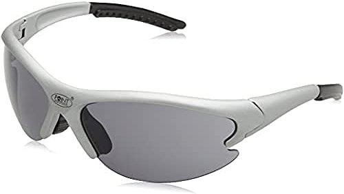 Point Sonnenbrille Gobi, matt silber, 26300501