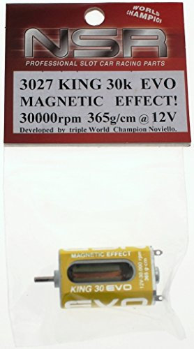 NSR Zubehör 803027 King 30000 EVO Magnetic 365g-cm