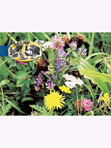 Hasenapotheke für Niederwild 1kg
