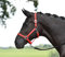 Busse