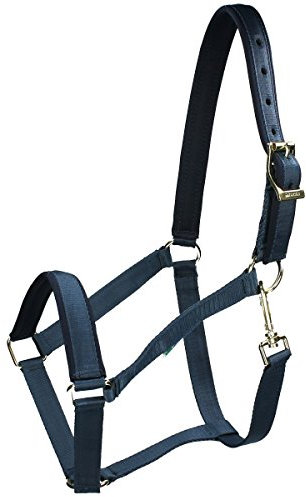 Bucas Pferdehalfter Dublin XL Navy/Navy