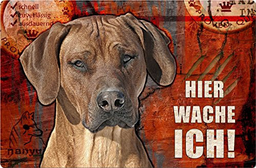 Nanyuk +++ Rhodesian Ridgeback - Metall Warnschild Schild Hundeschild Sign - RRB 41 T15