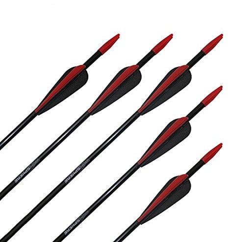 10x TropoSPHERE Fiberglaspfeil mit Blechspitze, 26 Zoll