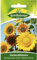 Sonnenblume, Mischung hoher Sorten