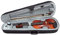 GEWApure Violino Set EW in Ebano 1/8 Pronto per Giocare con Mentoniera, Cordiera con Tiracantini, Archetto, Colofonia, Astuccio con Tracolla