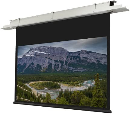 celexon Expert Deckeneinbau-Motor-Leinwand 115 | 250x140 cm 16:9 | elektrische 8K, Full-HD Einbauinstallation für Ihre Beamer-Projektionen | zur Integration in die Zimmerdecke | inkl. Wandschalter