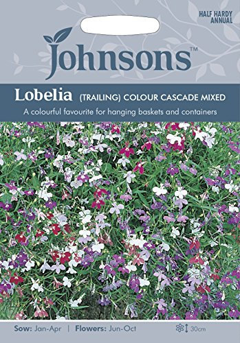 Johnsons 19144 Flower Seeds, Lobelia (Trailing) Colour Cascade Mixed