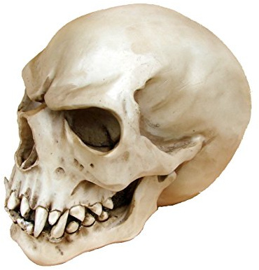 Joh.Vogler GmbH Replik Orc Schädel Markus Mayer Totenkopf Skull Gothic Totenschädel Ork