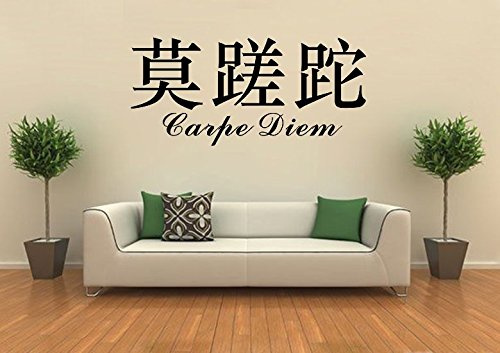 Wandtattoo wandaufkleber Aufkleber Wandsticker wall sticker Wohnzimmer Schlafzimmer Kinderzimmer 30 Farben zur Wahl Wandtext Wandwort Wandspruch spruch Zitat CARPE DIEM Chinesische Zeichen wzt22(070 schwarz, Größe3:ca.130x59cm )