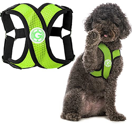 Gooby Comfort X Step-in-Geschirr, Erstickungsfrei, kleines Hundegeschirr mit Mikro-Wildlederbesatz und patentiertem X-Rahmen, Grün, Größe L