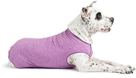 Gold Paw Sun Shield Dog Tee,T-Shirt für Hunde,UV-Schutz, Haustierangstlinderung, Wundpflege,schützt vor Fuchsschwanz, hilft bei Alopezie,maschinenwaschbar, alle Jahreszeiten,Größe 28,violett