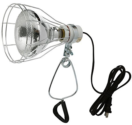 Woods 0324 18/2 Gauge Brooder and 150-Watt Heat Lamp with Wire Grill and Clamp; 6-Foot; Black