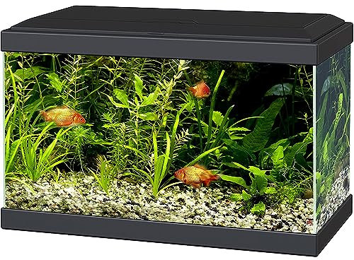 Ciano Aqua 20 acuario con luces LED y filtro negro.