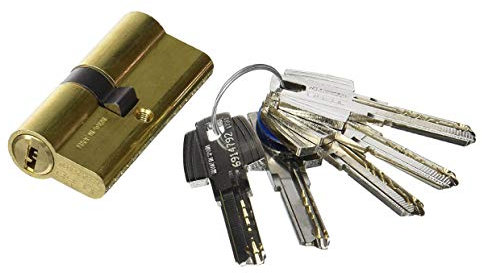 Tesa Assa Abloy, T6555050L, Cilindro de Seguridad, T60, Leva Larga, Llave - Llave, Latonado, 50 x 50 mm