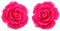 Bluebubble ENGLISH ROSE 22mm Hot Pink Carved Rose Stud Earrings on Gift Card