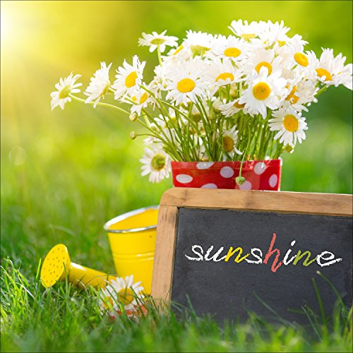 Pro-Art gla1089a Wandbild Glas-Art 'Sunshine' 30 x 30 cm