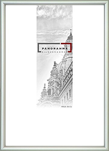 PANORAHMA BILDERRAHMEN Kunststoff Bilderrahmen 30 x 45 cm, Silber/Bilder Rahmen zum Aufhängen/Kunststoff Rahmen mit Echtglas