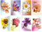 50 Grußkarten Blumen ohne Text Klappkarten mit 50 Umschlägen 8 Motive Neutrale Glückwunschkarten 99-1920