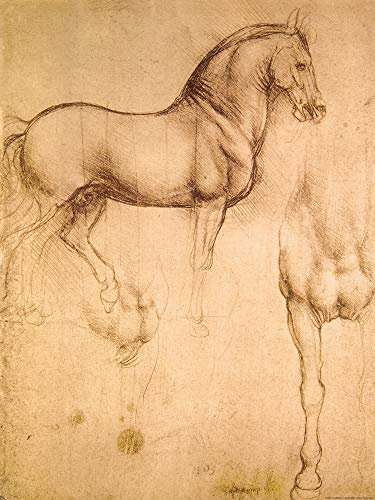 1art1 Leonardo Da Vinci Poster Pferdestudie, 1493-1494 Kunstdruck Bild 80x60 cm