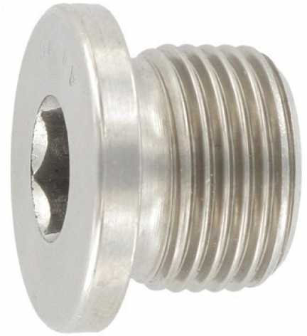 Reidl Verschlußschrauben mit Innensechskant und Bund, zylindrisches Gewinde 12 x 15 mm 1,5 DIN 908 A4 blank 100 Stück