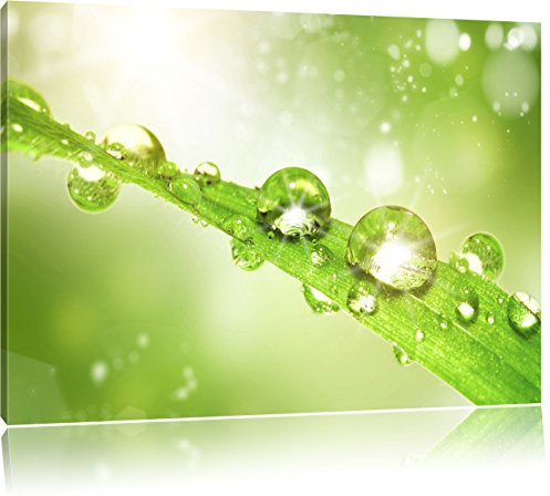 Pixxprint Wassertropfen auf Grashalm, Größe: 120x80cm, Leinwandbild, fertig gespannt, Wandbild, Dekoration, Kunstdruck, kein Poster