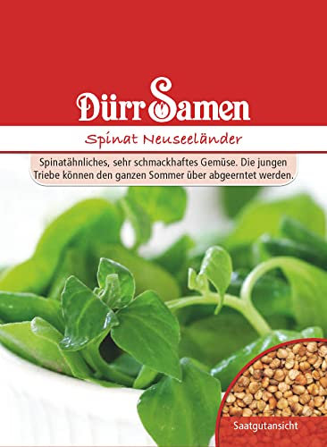 Spinat Samen Neuseeländer Spinatsamen ca 40 Korn Saatgut Gemüse Gründüngung Balkon Garten Hochbeet Kübel Dürr Samen