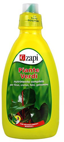 zapi Lot de 2 Pots de Fleurs Vert Liquide 1 l