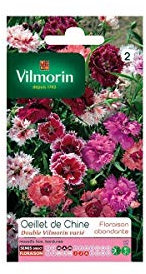 Vilmorin - Sachet graines Oeillet de chine double Vilmorin varié
