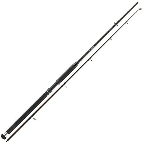 Cormoran Big Cat Power Lifter 2,70m 100-400g Wallerrute Welsrute Angelrute Steckrute Rute