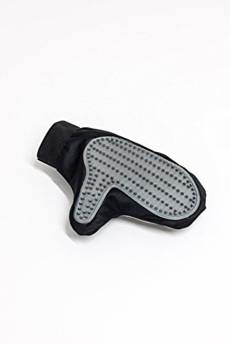 Europet Bernina International-in S-T Fell Fellpflege Handschuh, 23 x 11 cm