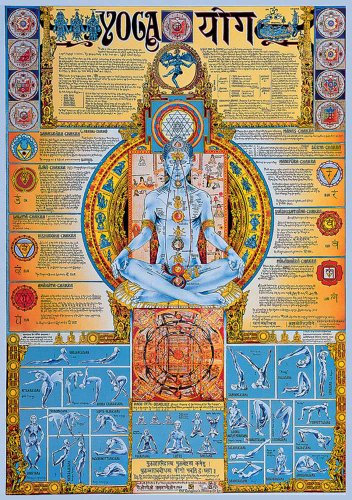 Educational - Bildung Yoga Bildungsposter Plakat Druck - Version in Englisch - Grösse 68x98 cm