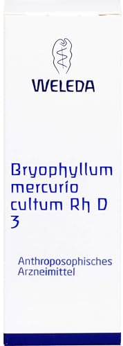 BRYOPHYLLUM MERCURIO cultum Rh D 3 Dilution 20 ml