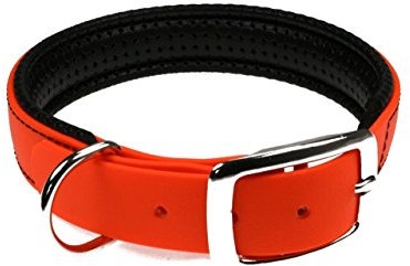LENNIE BioThane Halsband, gepolstert, Dornschnalle, 25 mm breit, Größe 44-52 cm, Neon-Orange, Aufdruck möglich