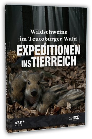 Expeditionen ins Tierreich - Wildschweine im Teutoburger Wald 