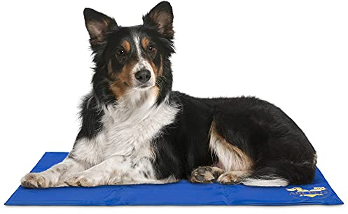Arf Pets Selbstkühlende Matte für Hundehütten, Kisten und Betten 48 x 88 cm