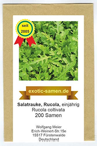 Rucola - Salatrauke - einjährig - Rucola coltivata - 200 Samen