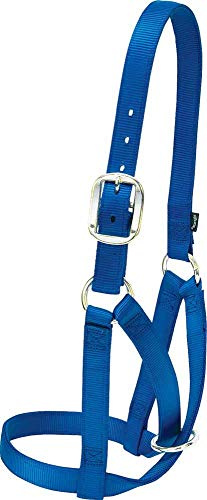 Weaver Leather Halfter Kuh Scheune