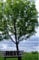 Rest (Seasons Book 2) (English Edition)