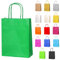Thepaperbagstore 5 Green Small Paper Party Bags With Handles - 18x22x8cm - Colourful Paper Gift Bags for Kids and Adults Parties, Birthdays, Weddings, Baby Showers, Hen Parties and Sweets