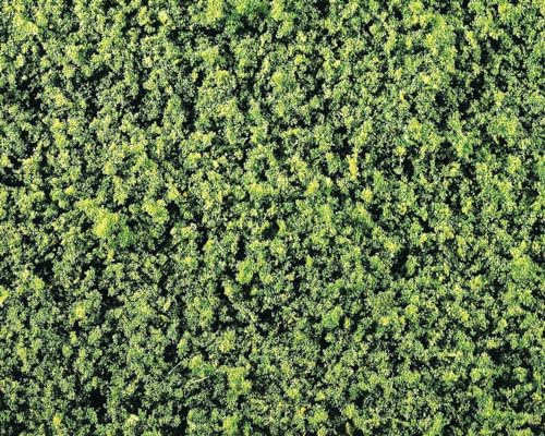 Faller Mid Green Foliage Material 250x120mm HO Gauge Scenics 181392