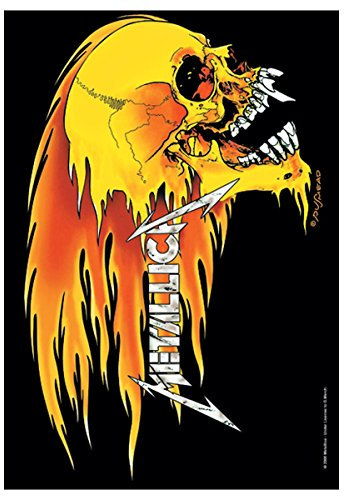 armardi Metallica Poster Fahne Skull & Flames