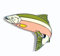 Metall Emaille Brosche Angeln Fisch Lachs
