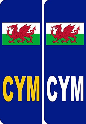 2 x Wales CYMRU flag Euro Number Plate Vinyl Car Stickers by Ellis Graphix