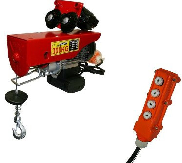 Varan Motors var-PA300C MOBILE ELEKTRISCHE SEILWINDE HEBEZUG SEILZUG 150/300 KG 600W INKL. FERNBEDIENUNG