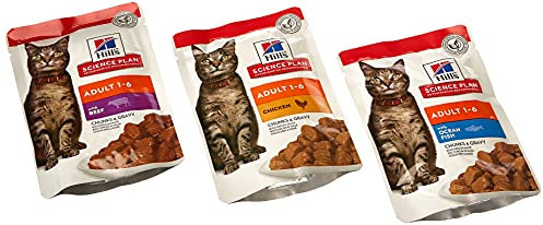 Hill Science Plan Feline Adult Katzenfutter Biscuit Fragile Magen-Huhn mit Ei / Reis (12 X 85g)
